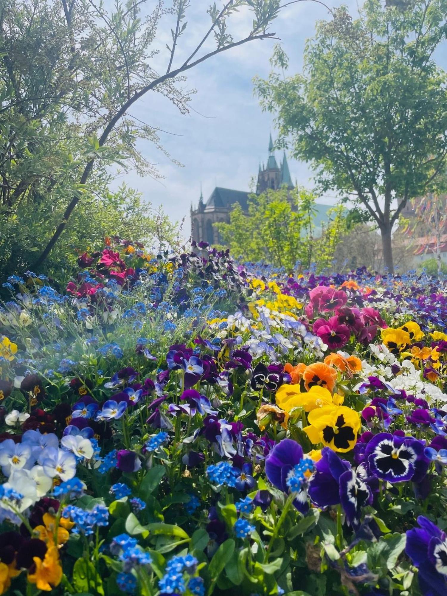 Apartmán "Erfurt Geniessen" Exteriér fotografie